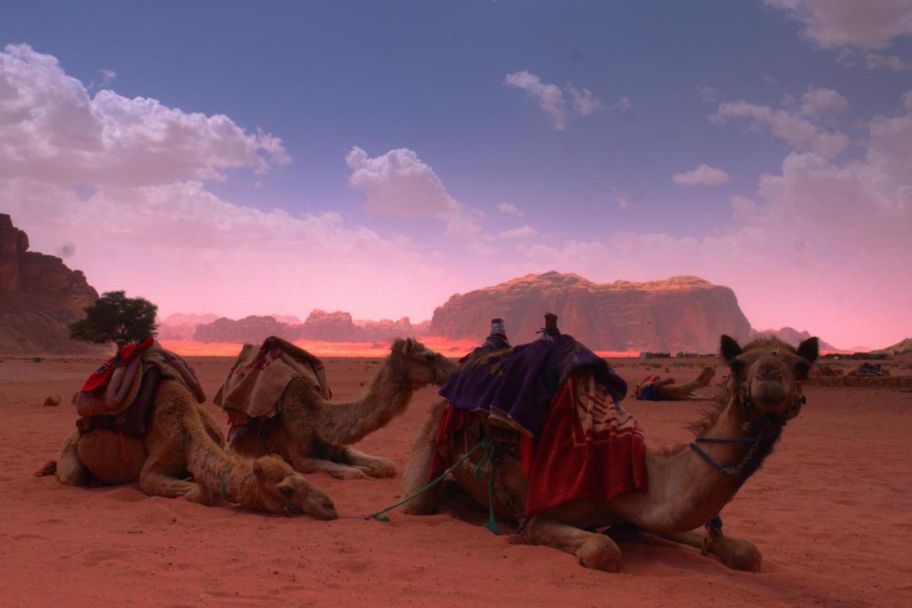 Mohammed Mutlak Camp Hotel Wadi Rum Ngoại thất bức ảnh